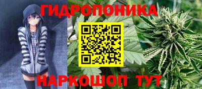 гидра Балахна